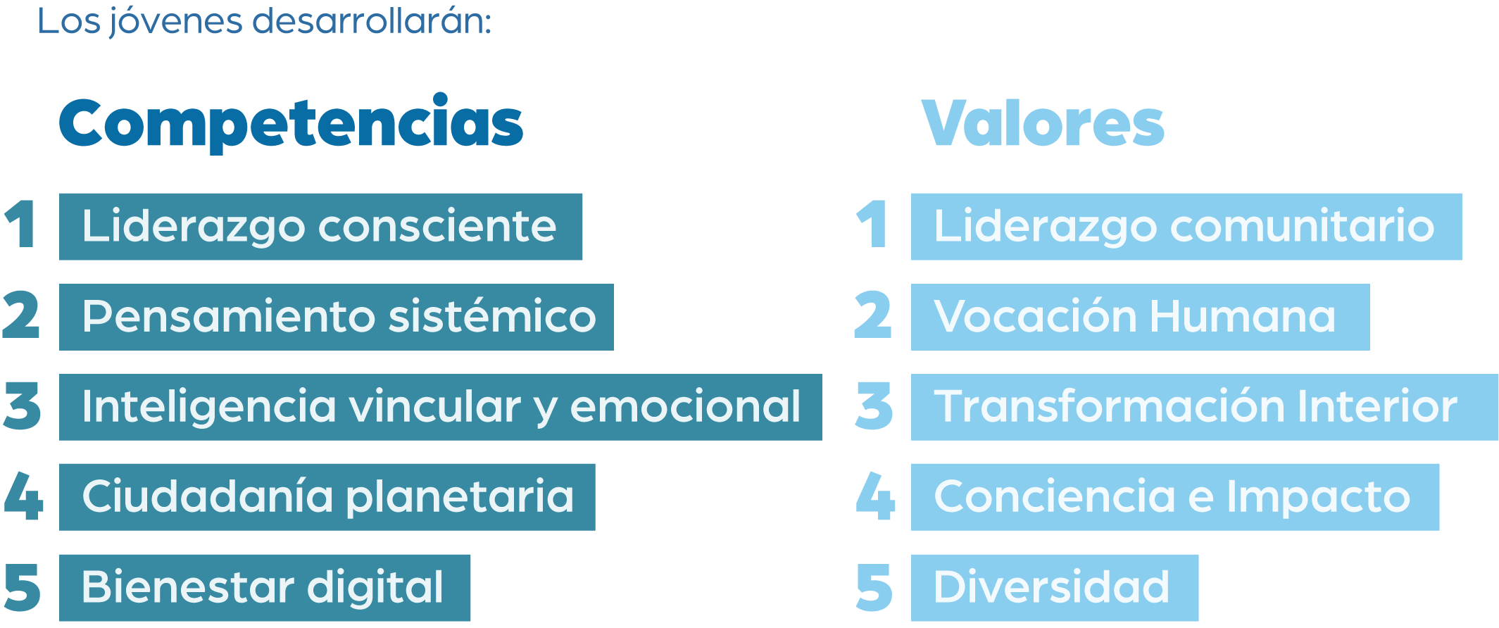 Competencias y Valores
