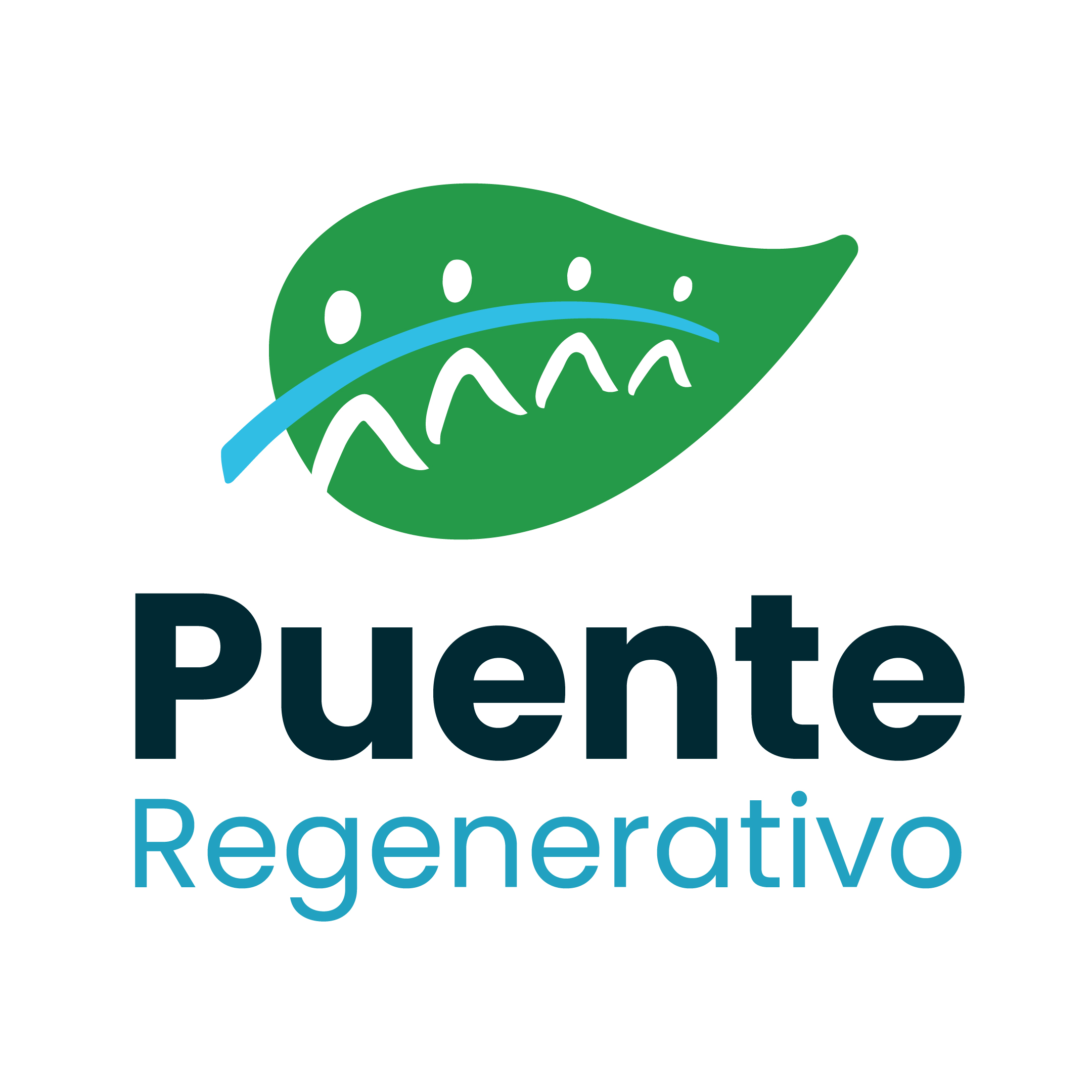 Puente Regenerativo